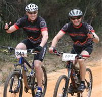 Trailhead Bike Co. - St Kilda Accommodation
