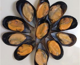 Advance Mussel Supply - St Kilda Accommodation 3