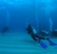 Man and Wife Rocks Dive Site - St Kilda Accommodation