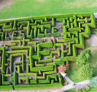 Hedgend Maze and Healesville Laser Sport - St Kilda Accommodation