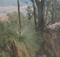 Mount Lawson State Park - St Kilda Accommodation