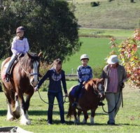 Bathurst Farm Experience - St Kilda Accommodation