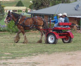 Bathurst Farm Experience - St Kilda Accommodation 3