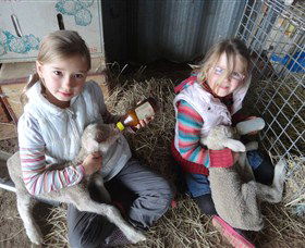 Bathurst Farm Experience - St Kilda Accommodation 4