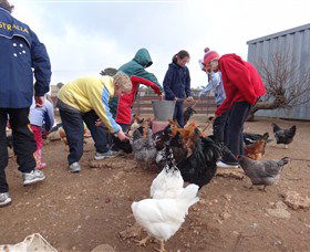 Bathurst Farm Experience - St Kilda Accommodation 2