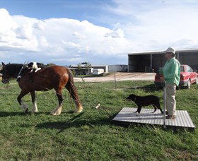Bathurst Farm Experience - St Kilda Accommodation 7