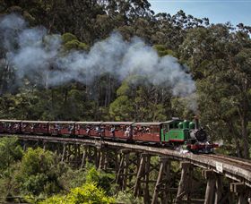 Puffing Billy Steam Railway - St Kilda Accommodation 0