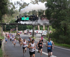 Puffing Billy Steam Railway - St Kilda Accommodation 7