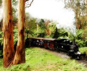 Puffing Billy Steam Railway - St Kilda Accommodation 5