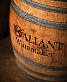 T'Gallant Winemakers - St Kilda Accommodation 0