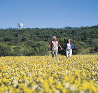 Koolanooka Springs - St Kilda Accommodation