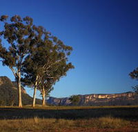 Capertee Valley Bird Trail - St Kilda Accommodation