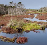 French Island National Park - St Kilda Accommodation