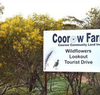 Coorow Farm Wildflower Trail - St Kilda Accommodation