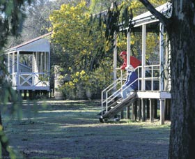 Dryandra Woodland - St Kilda Accommodation 0