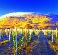 Surveyors Hill Winery - St Kilda Accommodation