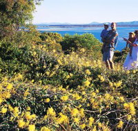 Joseph Banks Conservation Park - St Kilda Accommodation