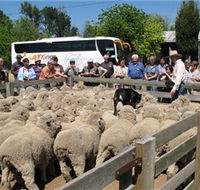 Gold Creek Station - St Kilda Accommodation