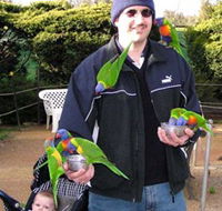 Canberra Walk In Aviary - St Kilda Accommodation