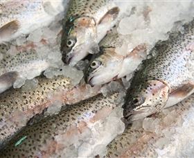 Arc-en-Ciel Trout Farm - St Kilda Accommodation 3