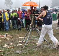 Lockyers Road Walking Track - St Kilda Accommodation