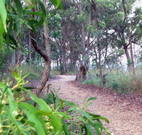 Mount Mutton Walking Trail - St Kilda Accommodation