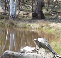 Mulligans Flat - St Kilda Accommodation