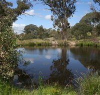 Cooleman Ridge - St Kilda Accommodation