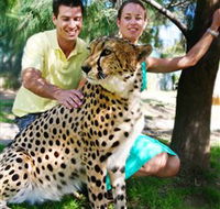 National Zoo  Aquarium - St Kilda Accommodation