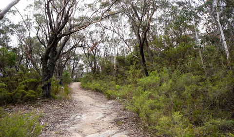 Six Foot Walking Track - St Kilda Accommodation 0