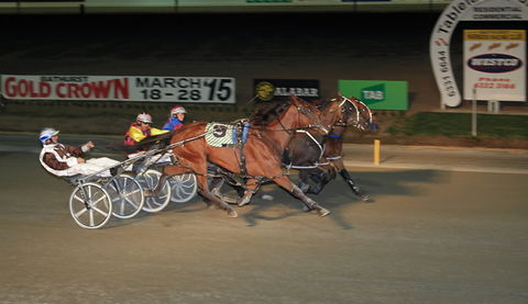 Bathurst Harness Racing Club - St Kilda Accommodation 3