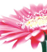 St Kilda Accommodation