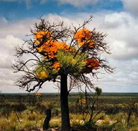 The Delmar Gallery - St Kilda Accommodation