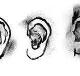 DAB LAB Research Gallery - St Kilda Accommodation