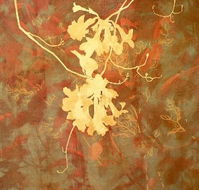 Fellia Melas Gallery - St Kilda Accommodation