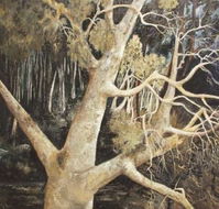 Ku-Ring-Gai Art Centre  Gallery - St Kilda Accommodation