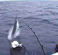 Amokura Charters - St Kilda Accommodation