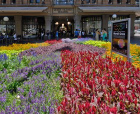 Queen Victoria Building - St Kilda Accommodation 1
