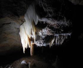 Country Charmâ„¢ Discovery Tours - St Kilda Accommodation 1