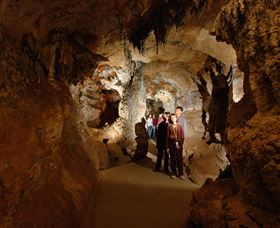 Country Charmâ„¢ Discovery Tours - St Kilda Accommodation 3