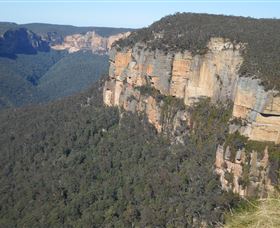 Country Charmâ„¢ Discovery Tours - St Kilda Accommodation 4