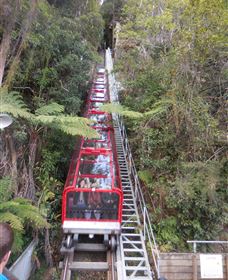 Country Charmâ„¢ Discovery Tours - St Kilda Accommodation 6