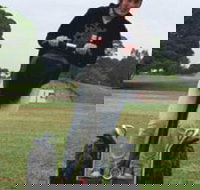 Segway Tours Australia - St Kilda Accommodation