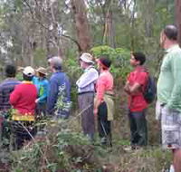 Boronia Tours - St Kilda Accommodation
