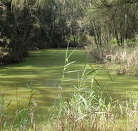 Second Ponds Creek walk - St Kilda Accommodation