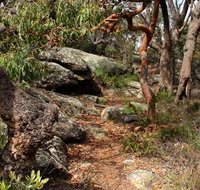 Box Head track - St Kilda Accommodation