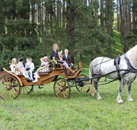 Classic Carriage Drives - St Kilda Accommodation