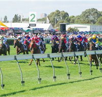 Morphettville Racecourse - St Kilda Accommodation