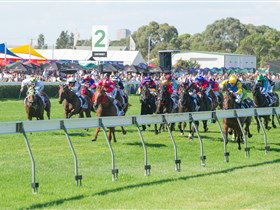 Morphettville Racecourse - St Kilda Accommodation 0