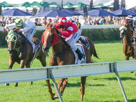 Morphettville Racecourse - St Kilda Accommodation 2